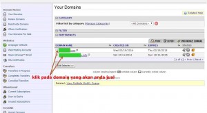cek domain anda